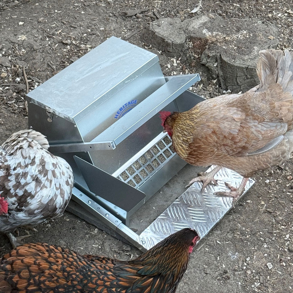 Heritage Galvanised Indoor Treadle Chicken Feeder 11kg | Rat Proof