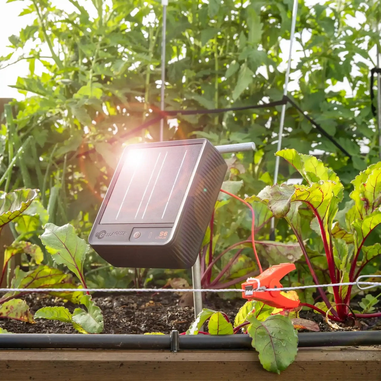 Gallagher Pond & Garden Electric Fence Kit – Solar-Powered Protection