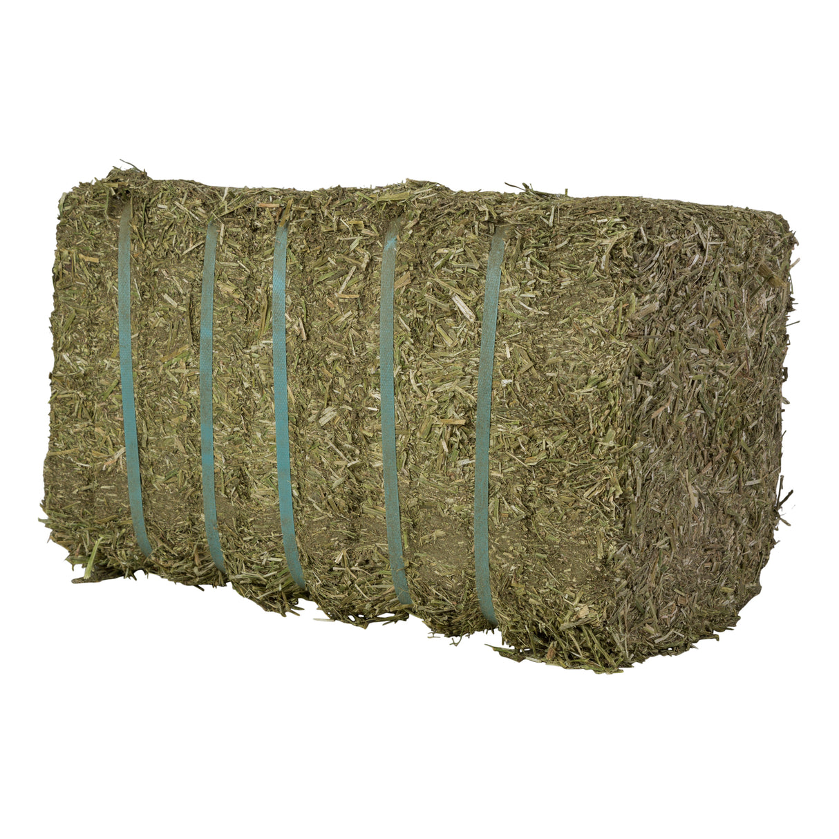 Alfalfa environmental enrichment for chickens