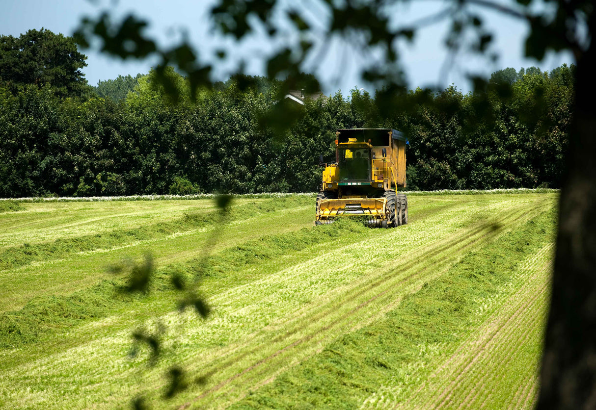 Lucerne harvesting
