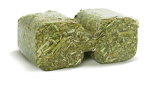Two green alfalfa briquettes designed for animals such as poultry, pigs, and horses.