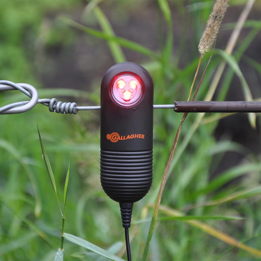 A Gallagher live fence indicator with a flashing LED light, attached to a fence wire, surrounded by greenery.