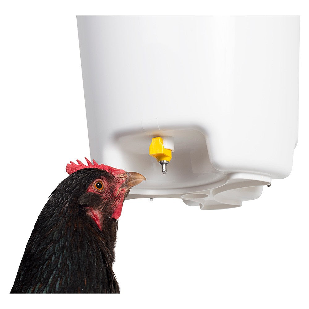 12lt chicken drinking bucket