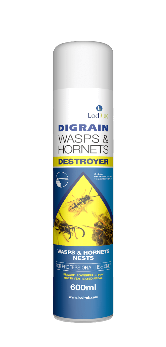 A 600ml aerosol spray can of Digrain Wasps & Hornets Destroyer