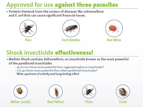 Mefisto Shock | 5lt insecticide for use against red mite