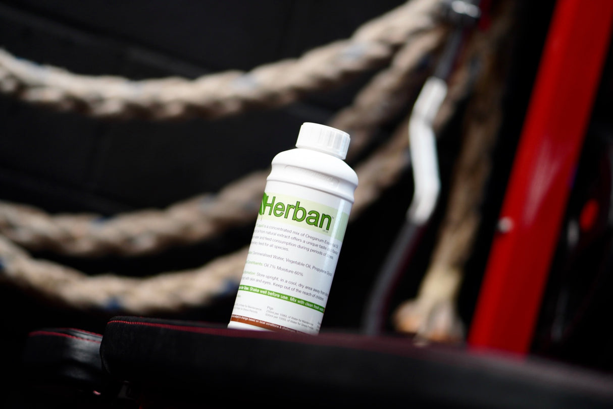 Herban Oregano Liquid - 1lt
A 100% “Natural Origanum Essential Oil Supplement”, containing the natural occurring active components Carvacrol & Thymol which are extracted from the plant through steam distillation.