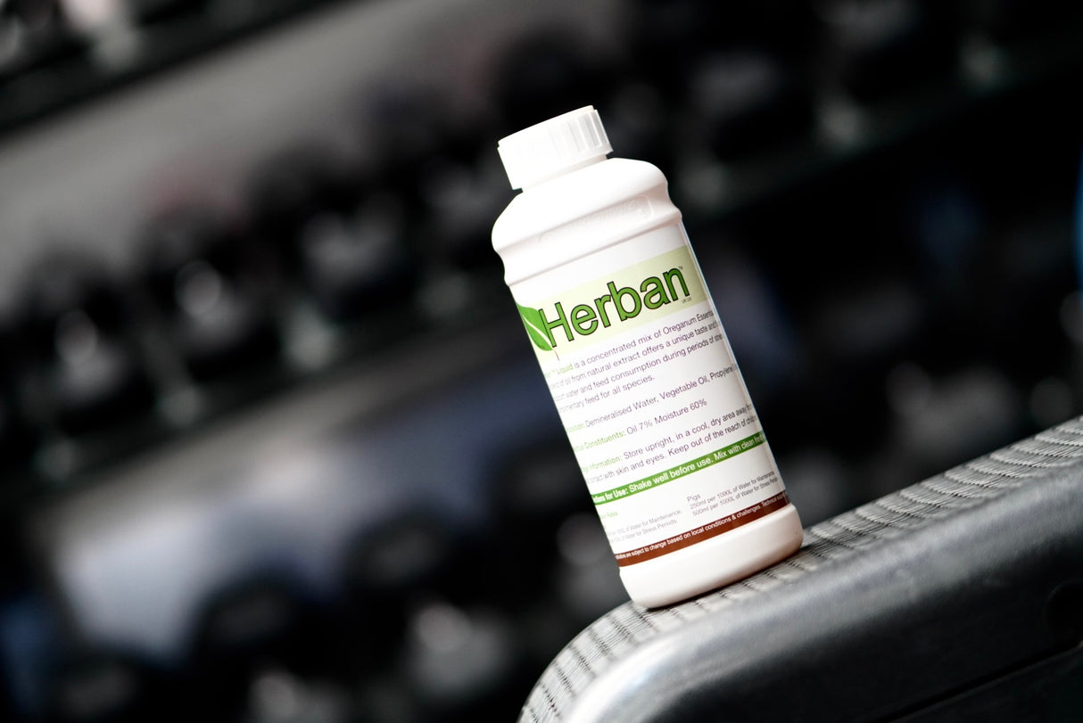 Herban Liquid Gut Health For Poultry And Game Birds | 1lt