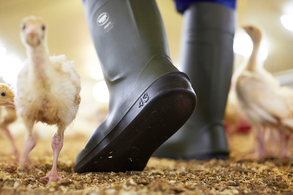 Bekina Steplite EasyClean Flat Soled Wellingtons
