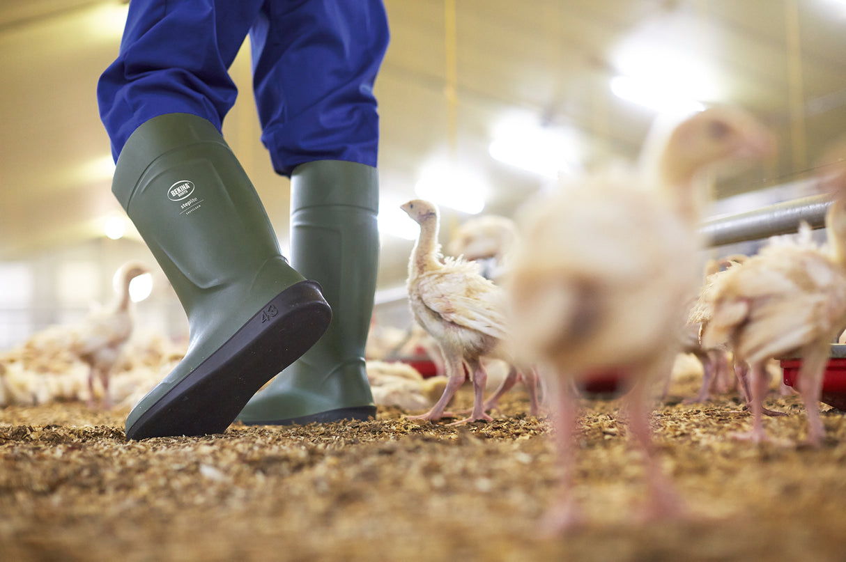 Bekina Wellies