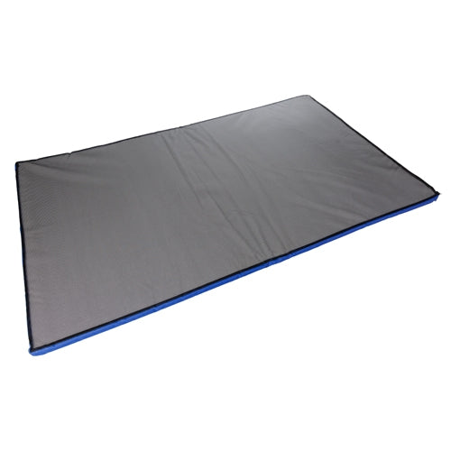 Disinfectant mat for use with small vehicles