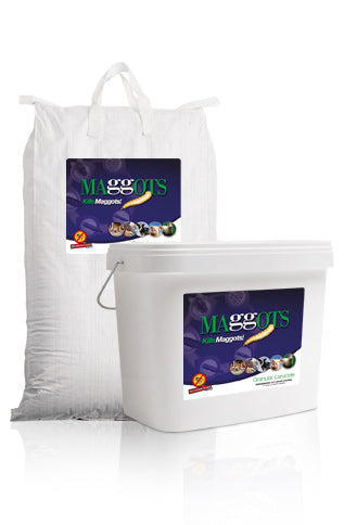 Larvicide granuals