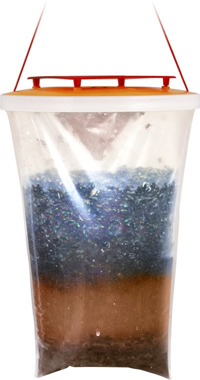 Red top fly trap in use