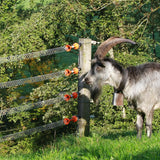 Gallagher 5.0m Electric Fence  Spring Gate Set