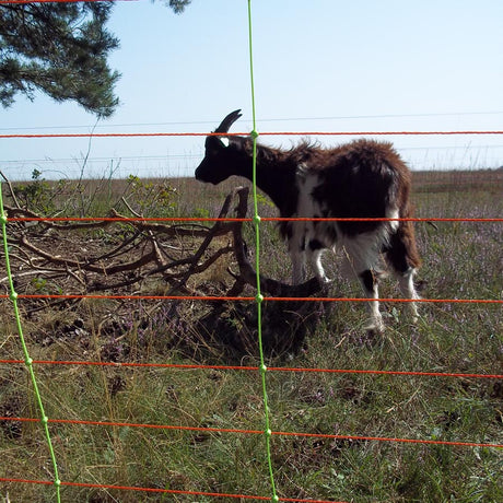 Gallagher Electric Fence Sheep Combo Net with Single Pin Posts | 90cm High x 50m Long