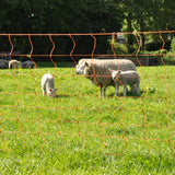 Gallagher Electric Fence Sheep Netting with Single Pin Posts | 90cm High x 50m Long