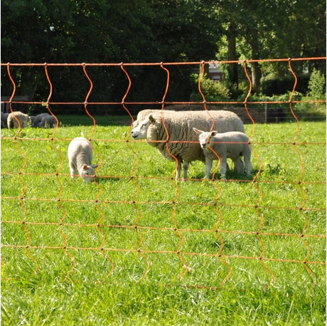 Gallagher Electric Fence Sheep Netting with Double Pin Posts | 90cm High x 50m Long