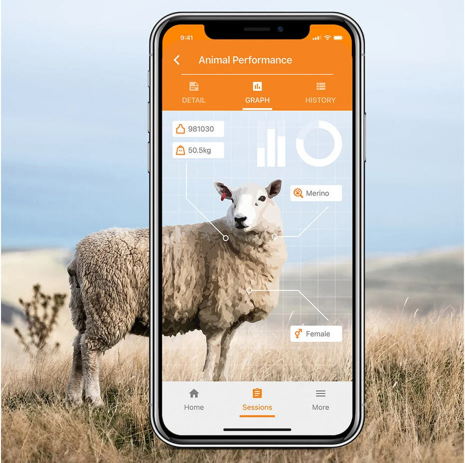 Gallagher TWR-1 Weigh Scale with integrated EID reader