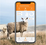 Gallagher TWR-1 Weigh Scale with integrated EID reader