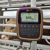 Gallagher TW-3 Weigh Scale and Data Collector