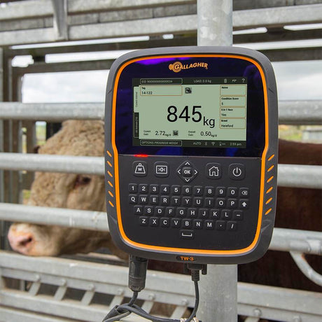 Gallagher TW-3 Weigh Scale and Data Collector