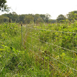 Gallagher Electric Fence Wild Boar Netting with Single Pin Posts | 75cm High x 50m Long