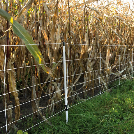 Gallagher Electric Fence Wild Boar Netting with Single Pin Posts | 75cm High x 50m Long