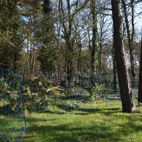 Blue wolf netting
