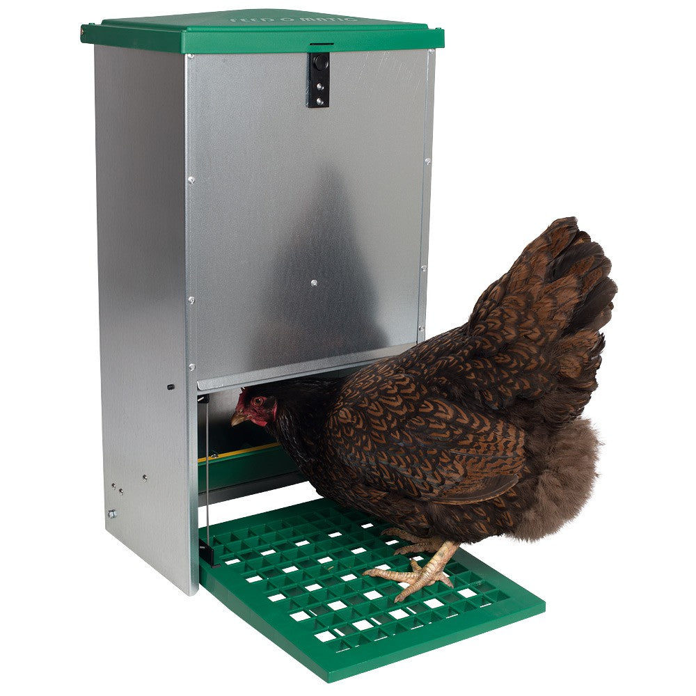 Treadle Chicken Feeder - Feed-O-Matic 20kg Capacity with Rat Guard Fitted