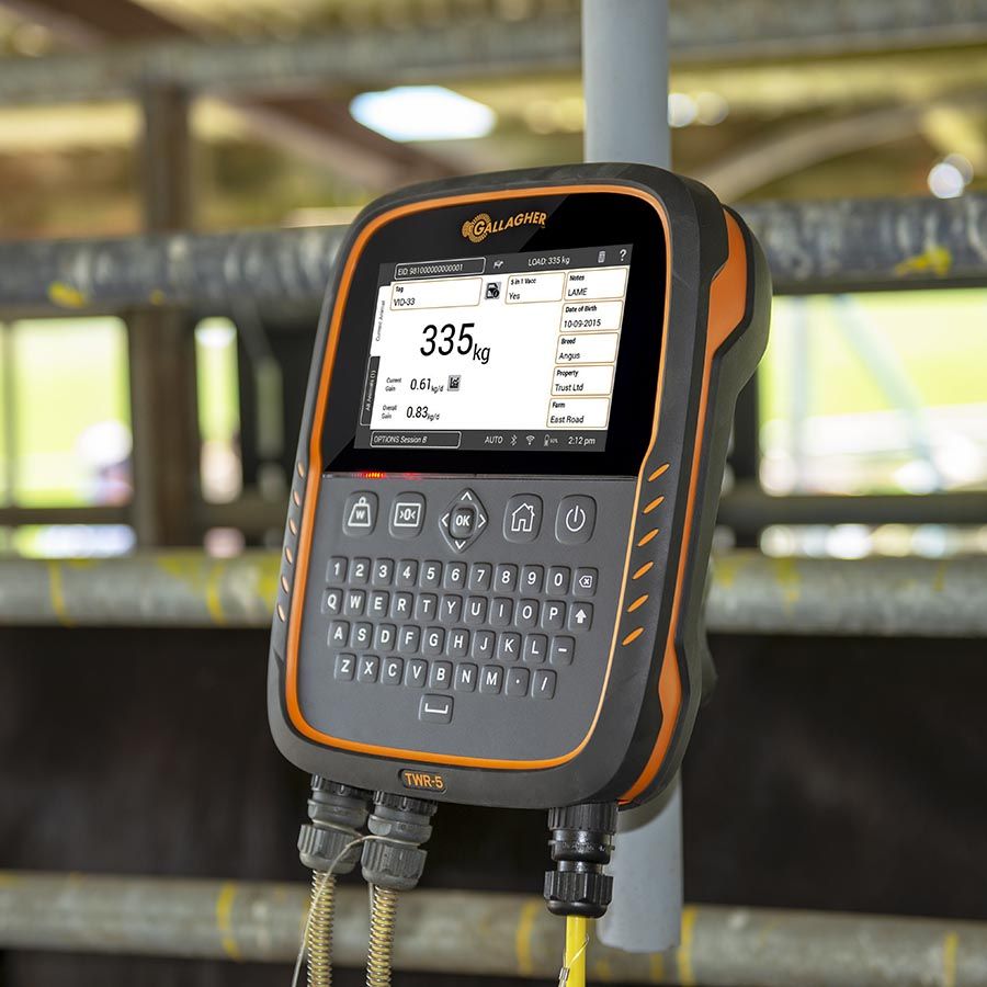 Gallagher TWR-5  Weigh Scale and Data Collector with integrated EID Reader