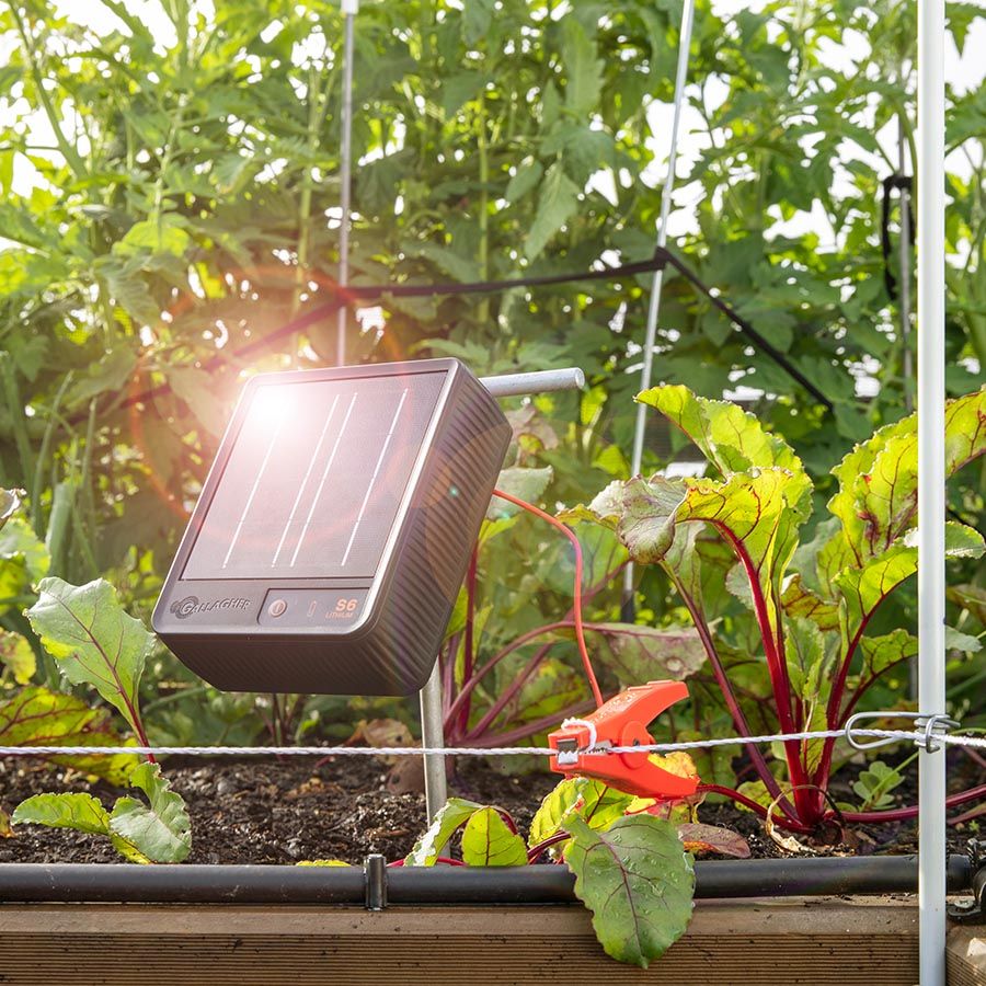 Gallagher S6 Solar electric fence engergiser incl. Lithium battery (3.2 V - 6 Ah)