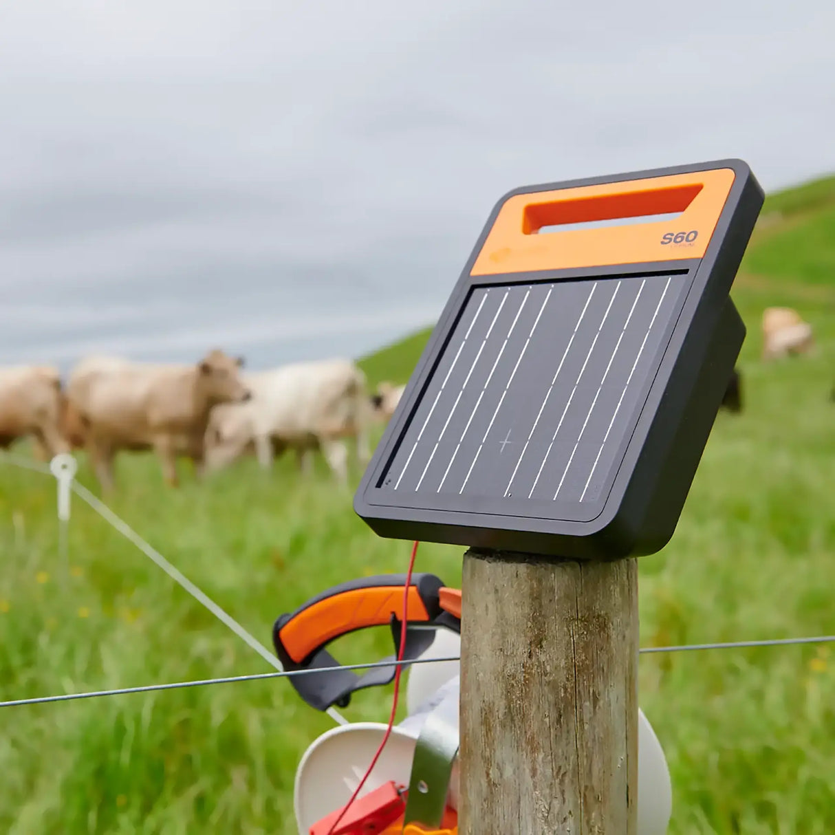 Solar fence energizer on a post with cows in the background