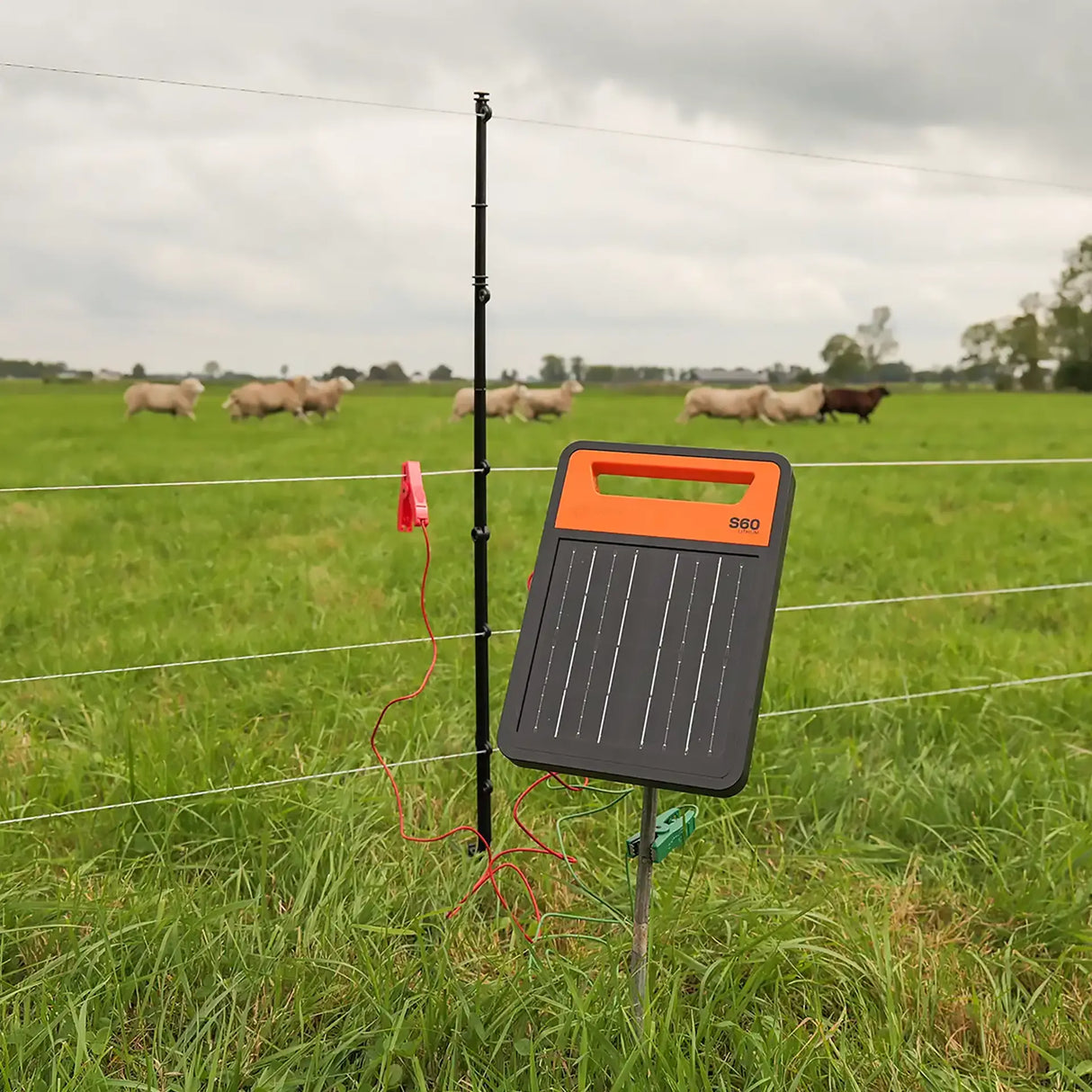 Solar panel for electric fencing in a grassy field with cows