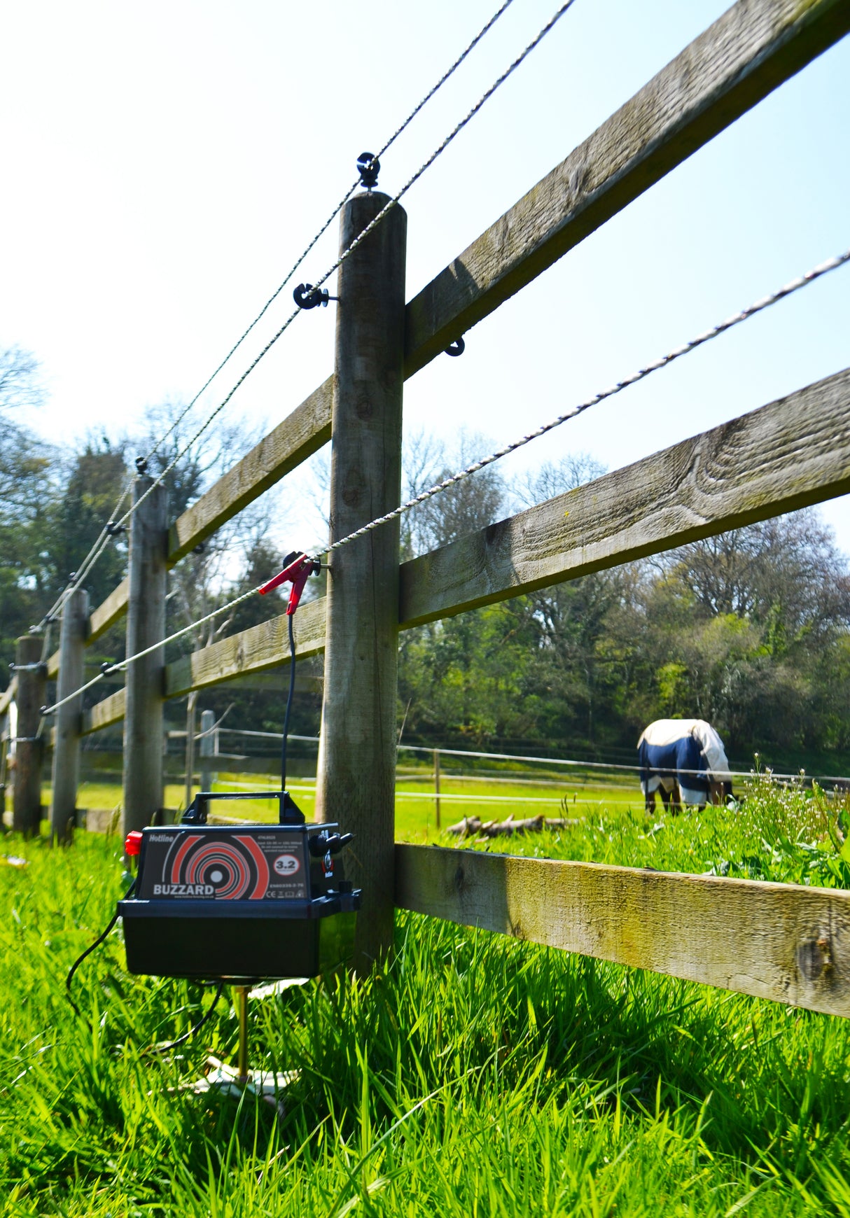 Hotline Buzzard Energiser | Battery Powered