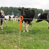 Gallagher 1.0m Ring top post | Pack of 10 | ST |