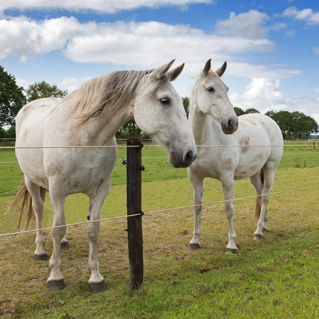 Gallagher Electric Fence TurboStar Equifence Horse Fencing | White 250m