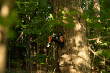 Goodnature Squirrel Trap Kit - A18