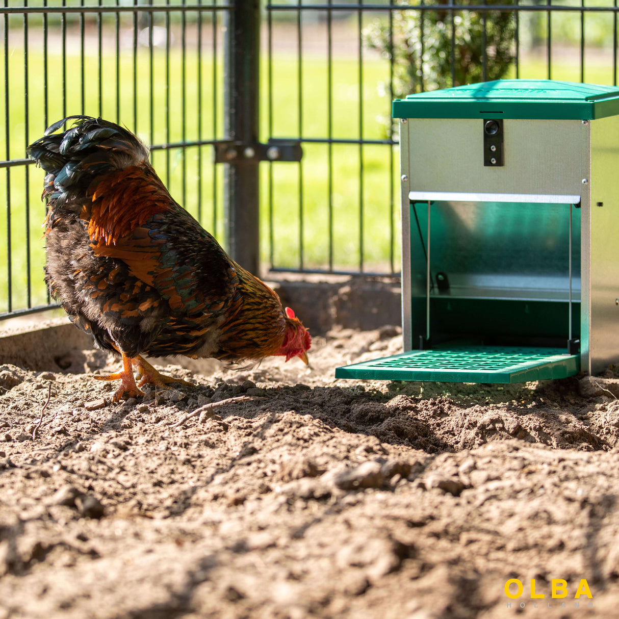 Treadle Chicken Feeder 8kg Feed Capacity with Rat Guard Fitted