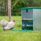 Treadle Chicken Feeder - 12kg Capacity - Feed-O-Matic with Rat Guard Fitted