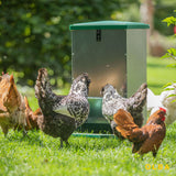 Treadle Chicken Feeder - Feed-O-Matic 20kg Capacity with Rat Guard Fitted