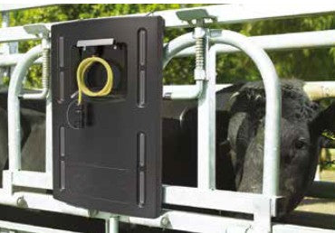 Gallagher EID Reader installed onto a cattle crush