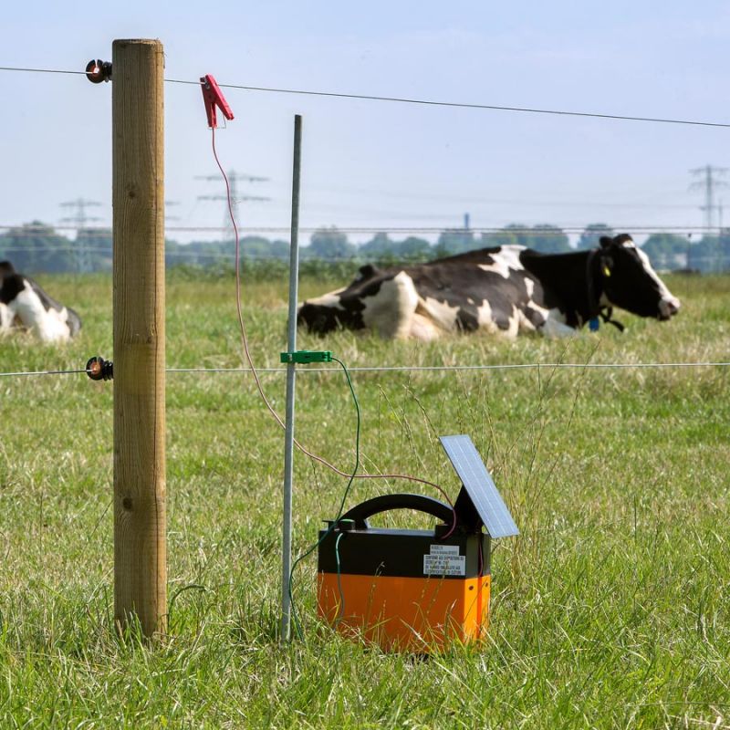 Gallagher Earth Stake without Clamp - 1.0m - Single Stake | ST |