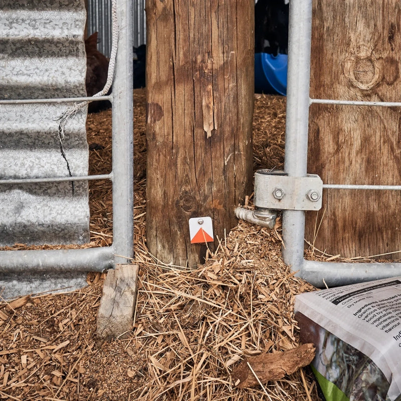 ideal location for a goodnature rodent detector card