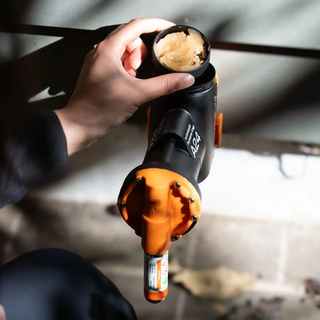 Lure in an A24 Rat Trap