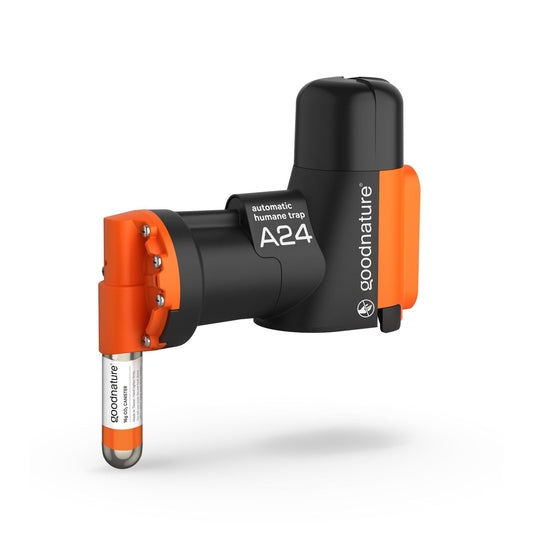 Goodnature A24 Starter Rat and Mouse Trap Kit