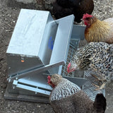 Heritage Galvanised Treadle Chicken Feeder 11kg | Rat Proof