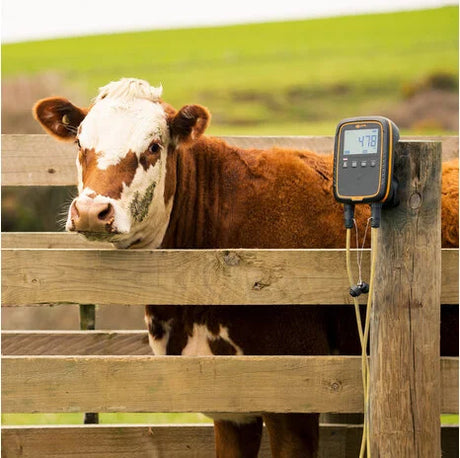 Gallagher Quickweigh kit 580/W0