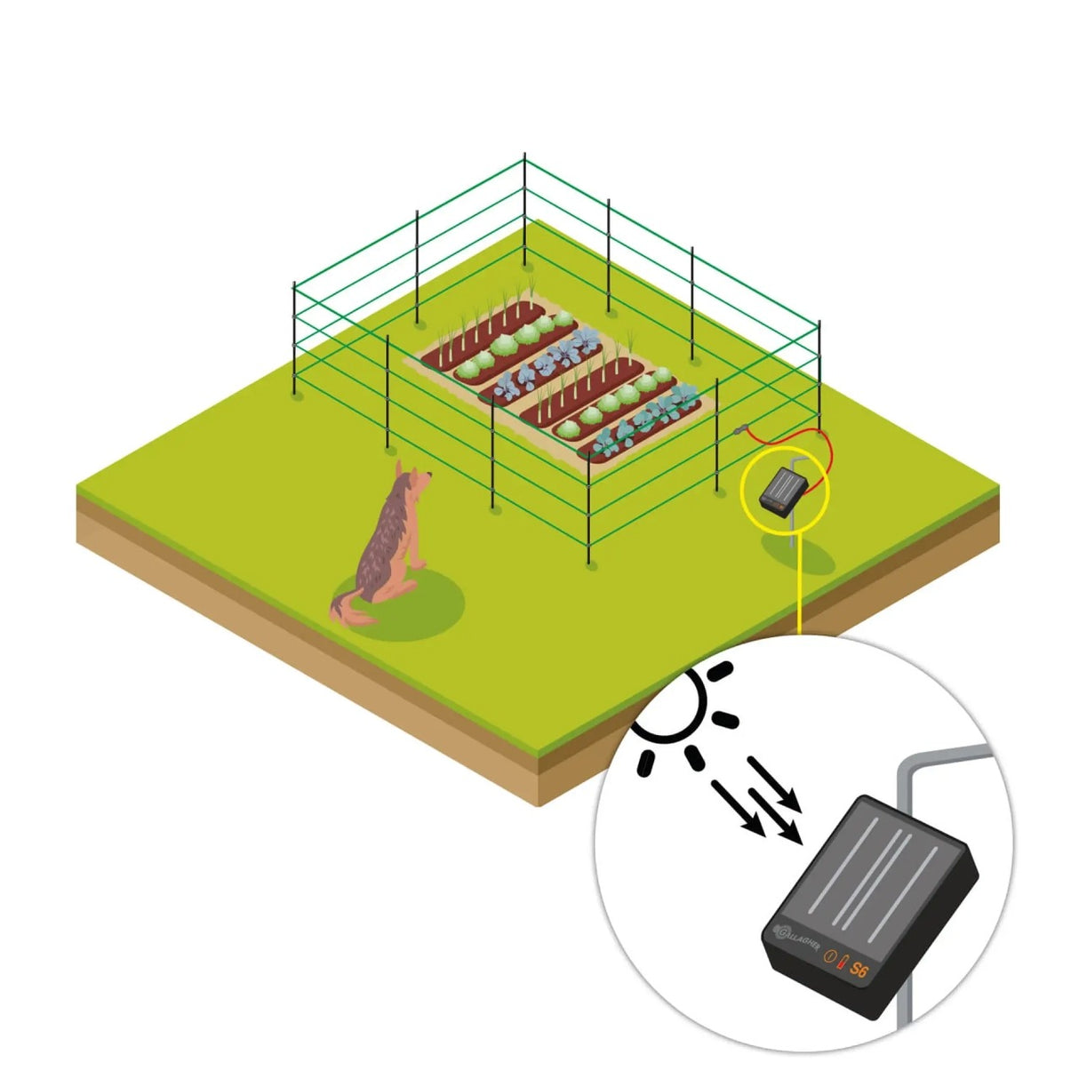 Gallagher Pet & Garden Electric Fence Kit – Solar-Powered Protection