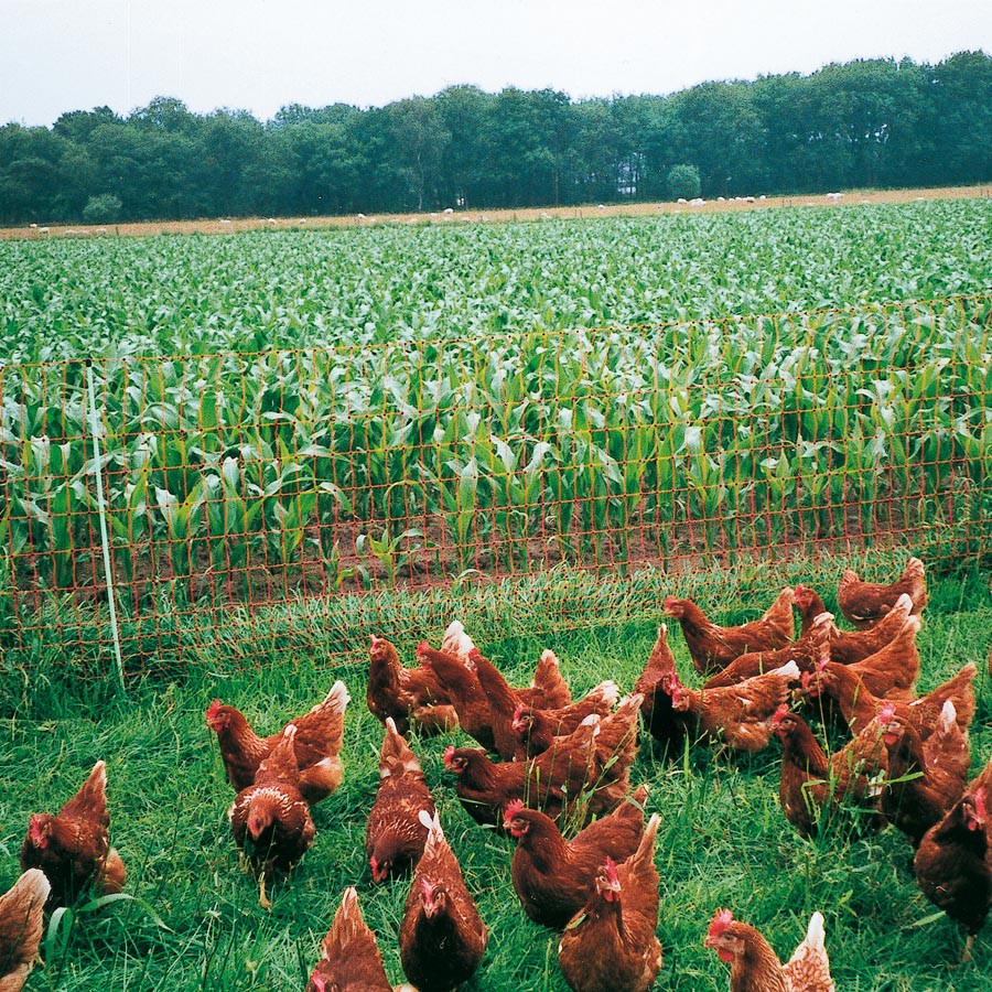 Gallagher Poultry Netting with Single Pin 112cm x 50m | ST |