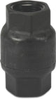 Non return valve ¾" FBSP Black Plastic Body
