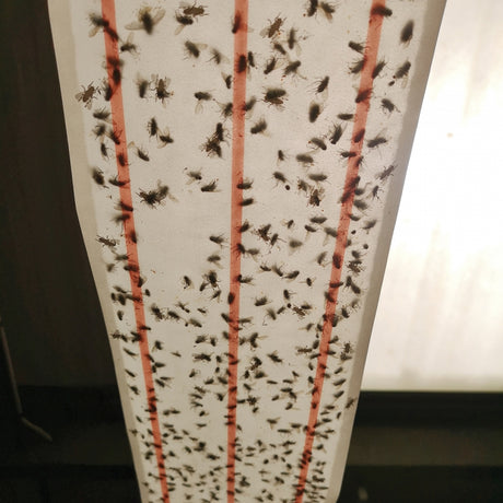 XL Sticky Fly Roll - 10 metre - Zero in - Ultra Power